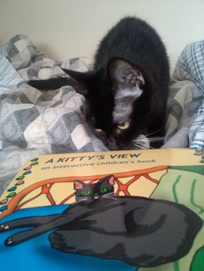 0-a-kittys-veiw-book-arrived
